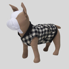 Accessories Pets